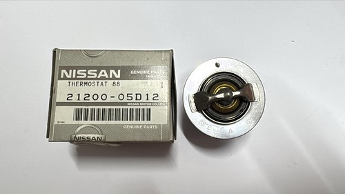 Termostato motore nissan - motore,