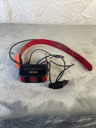Garmin collare gps per - t5,