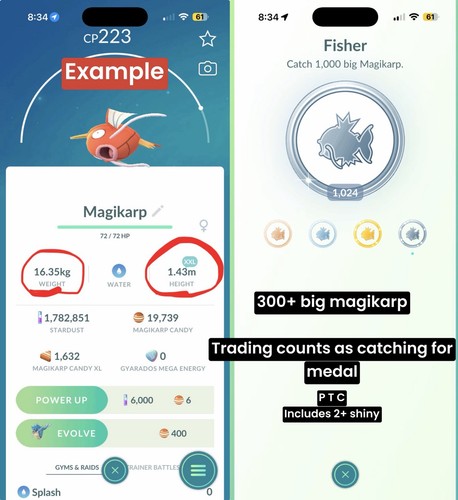Pokemon 300 grande - pokemon✨300+,