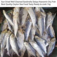 Pesce Essiccato Salato Sardinella Salaya Naturale di Alta Qualità Ceylon SeaFood 1 kg