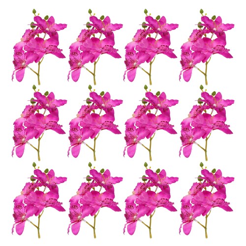 Pezzi pollici orchidea - 12, 7