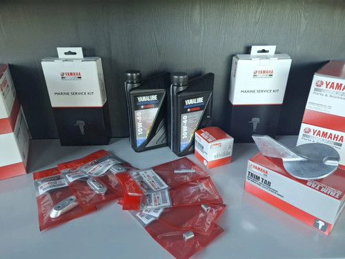 Kit tagliando fuoribordo - kit,