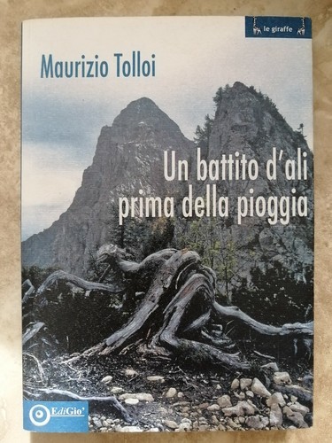 Tolloi battito d - un,