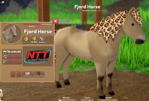 Wild horse islands - wild,