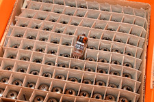 Vintage Tesla E88CC / 6922 / CCa Amplificatore Tubo / Audio Tube, Halo Getter, NOS