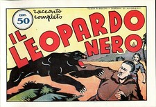 IL LEOPARDO NERO