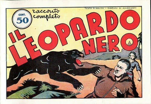 Leopardo nero - leopardo,