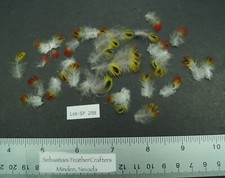 Lotto di trenta piccole piume