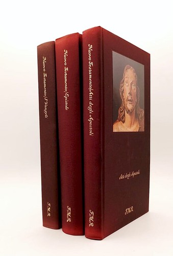 Nuovo testamento vangeli - nuovo,