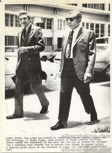 1973 meyer lansky murder inc - meyer,