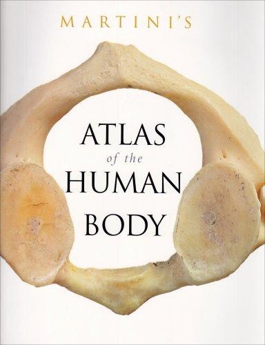 Martini atlas the human - of,