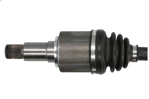 Albero motore pascal - albero,