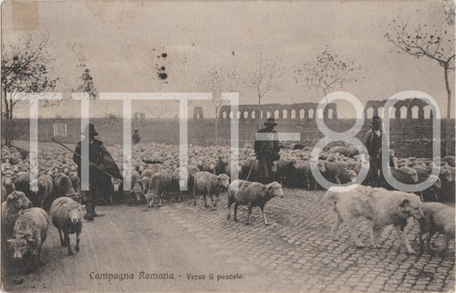 Campagna romana verso il - verso,