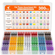 300Pcs Fusibili Auto Assortiti