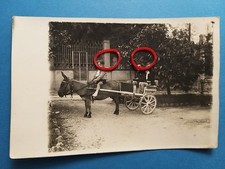 Fotografia - Carrettino