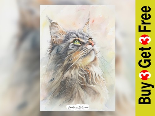 Majestic old gray maine coon - majestic,