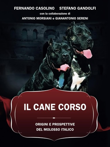 Cane corso origini e - corso:,