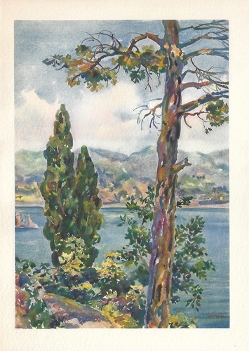 Stampa antica portofino - antica,