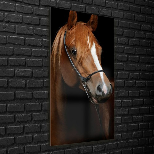 Wandbilder glasbilder - wandbilder,