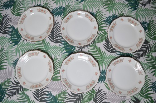 S8113 set 6 piatti - s8113,