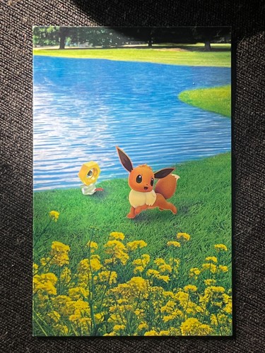 Carte pokemon nintendo edition - pokemon,