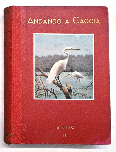 Andando caccia anno iii - a,