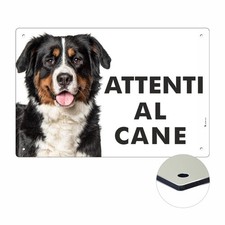 BOVARO DEL BERNESE ATTENTI AL