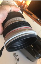 Canon  EF 300 F2.8 IS USM  ( Canon )