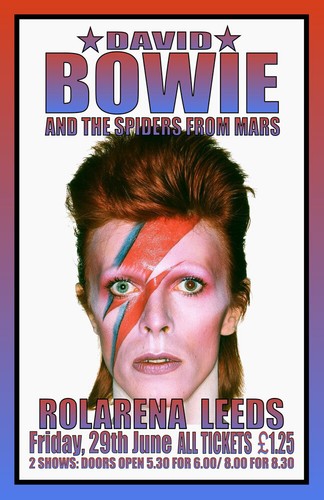 David bowie replica 1973 - david,