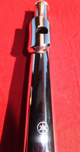 Yamaha testa argento - yamaha,