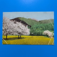 PRATO VERDE SPEDITA NEL 1921 – CARTOLINA D’EPOCA A COLORI 