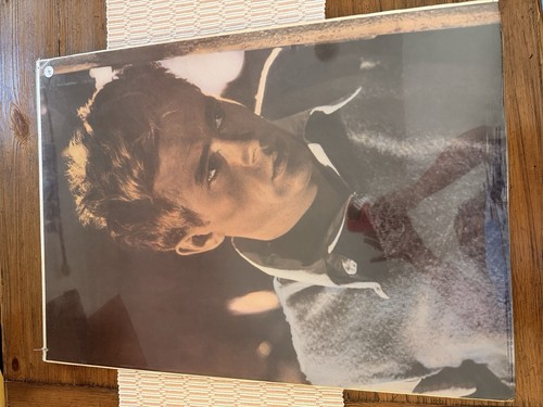 Poster james dean - poster,