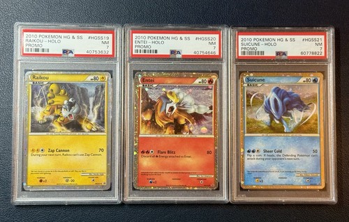 Raikou entei suicune hgss19 - entei,