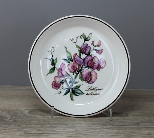 Villeroy boch b - &, botanica