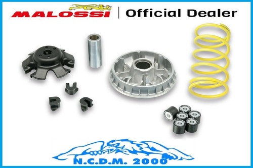 Variatore malossi multivar - malossi,