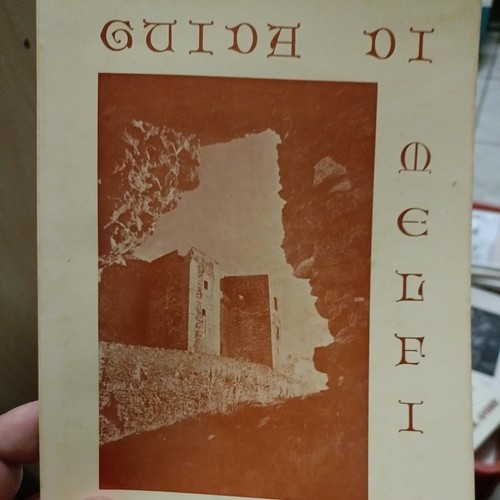 Guida melfi 1982 con - guida,