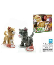 Gattino filo guidato - filo,