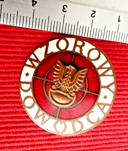 Distintivo 1973