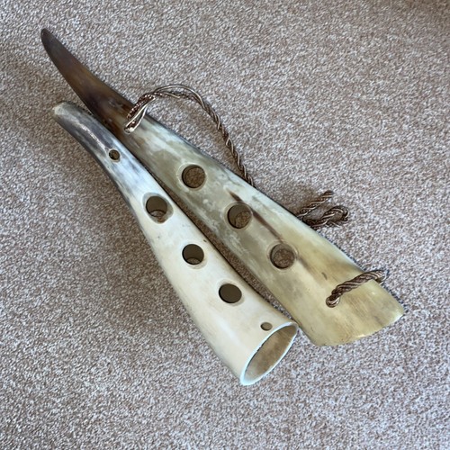 Cow bull horn - cow/bull, ware