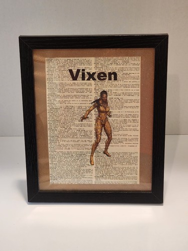 Dizionario vixen 8x10 stampa - vixen,