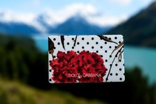 💾 Chiavetta USB Dolce & Gabbana 4GB – Stile Carta di Credito – Design Floreale