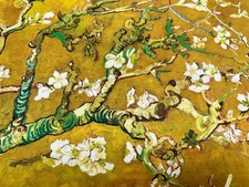 Tenda Sakura Fiori di Mandorlo