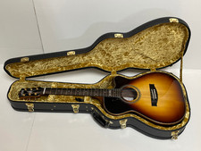 Chitarra elettrica acustica