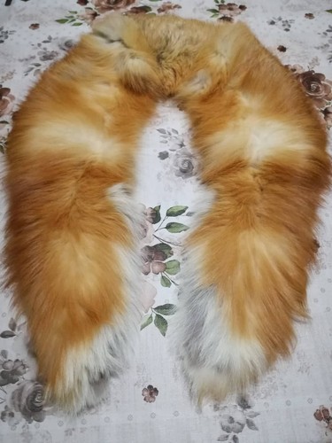Collo volpe sciarpa di - di,