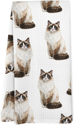 Ragdoll gatto regali - ragdoll,