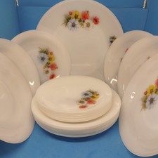 Arcopal France Set Anemoni 19