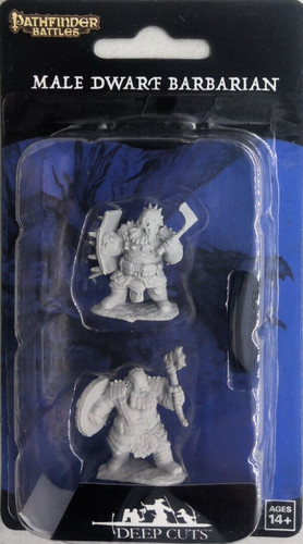 Pathfinder battaglie miniatura - pathfinder,