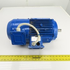 P. Bacci FC112M/2 Motore