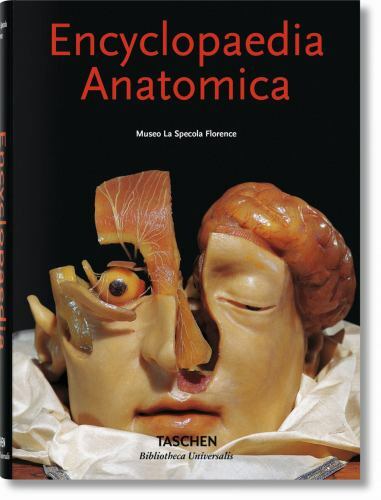 Encyclopaedia anatomica - encyclopaedia, by