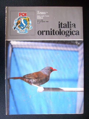 Italia ornitologica 1981 - italia,